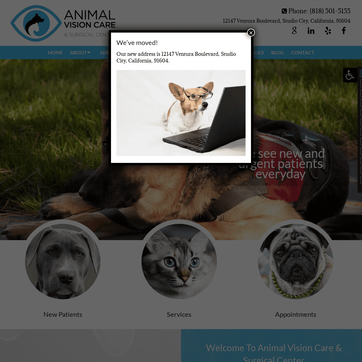 A complete backup of animalvisioncare.com