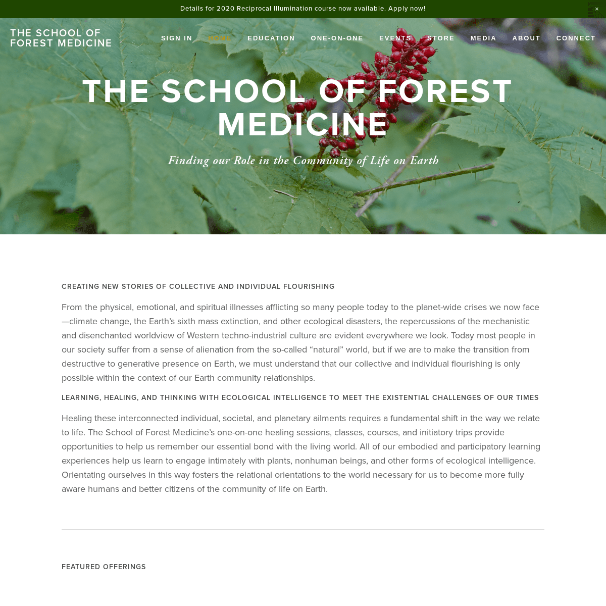 A complete backup of forestmedicine.net