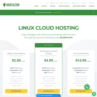 Web Hosting | Virtual Server | Dedicated Server - Hostazor LLC