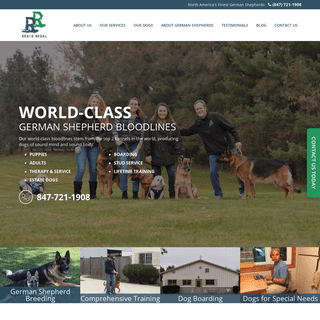 Regis Regal | Chicago German Shepherd Breeder & Training
