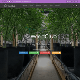 WeedClub | Friends in High Places