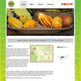 Rainforest Chocolate Tour – The Sweetest Rainforest Experience - Home