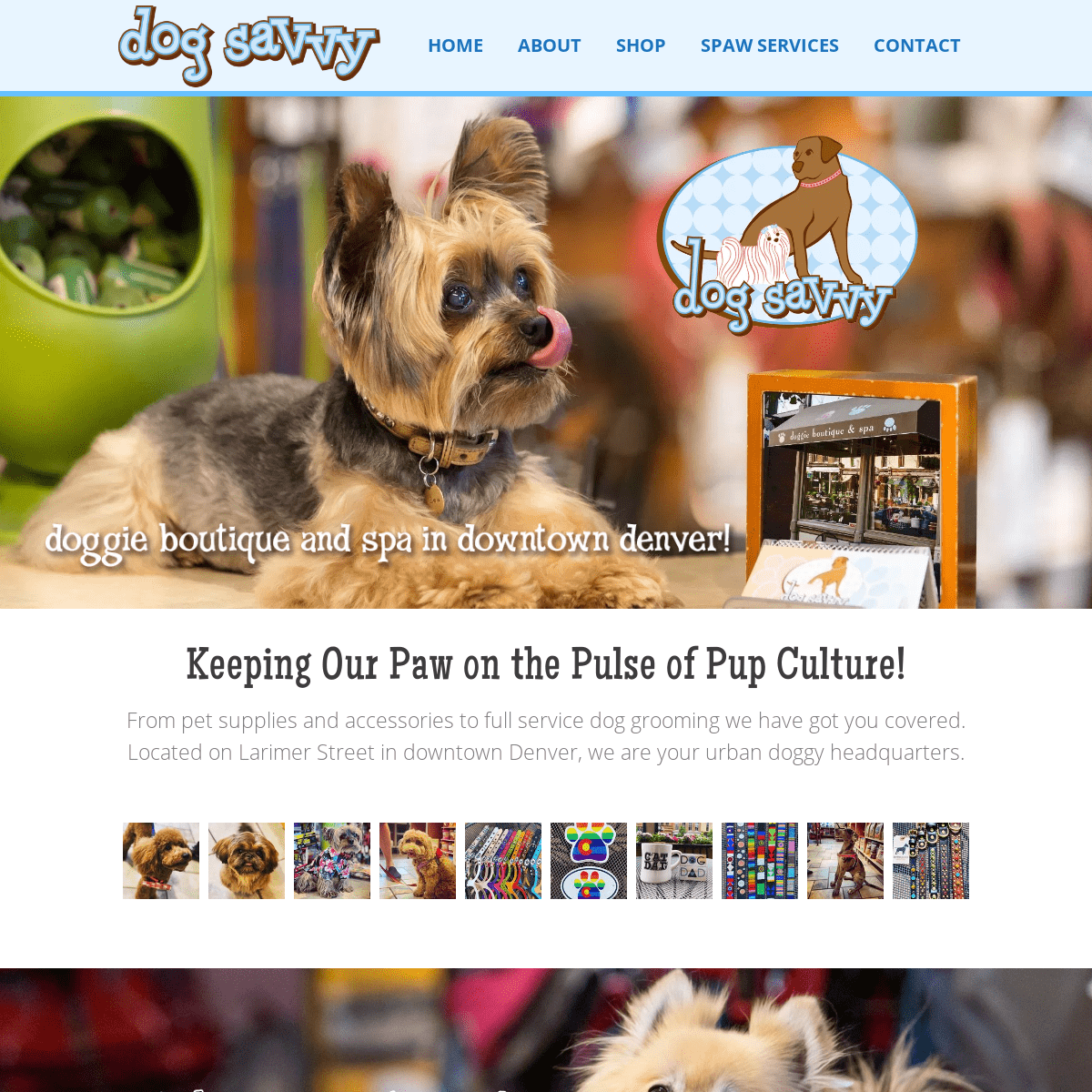Dog Savvy | Dog Boutique & Spa in Downtown Denver, Colorado