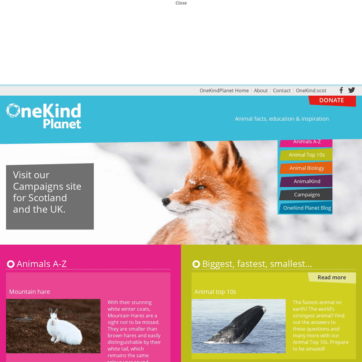 A complete backup of onekindplanet.org