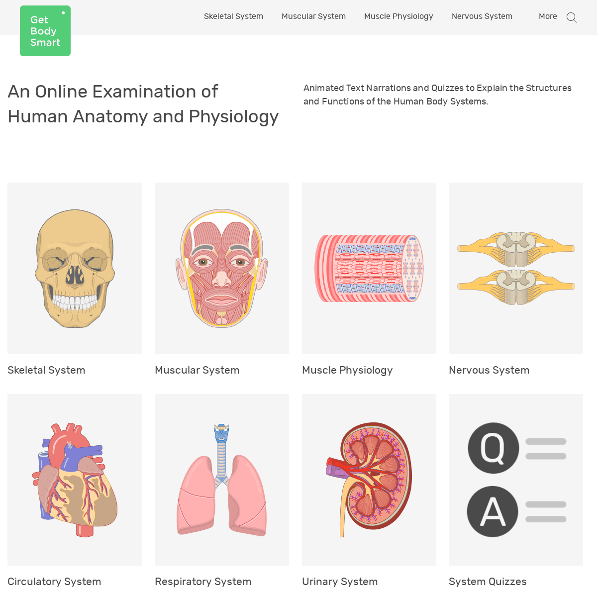 An Online Examination of Human Anatomy and Physiology • GetBodySmart