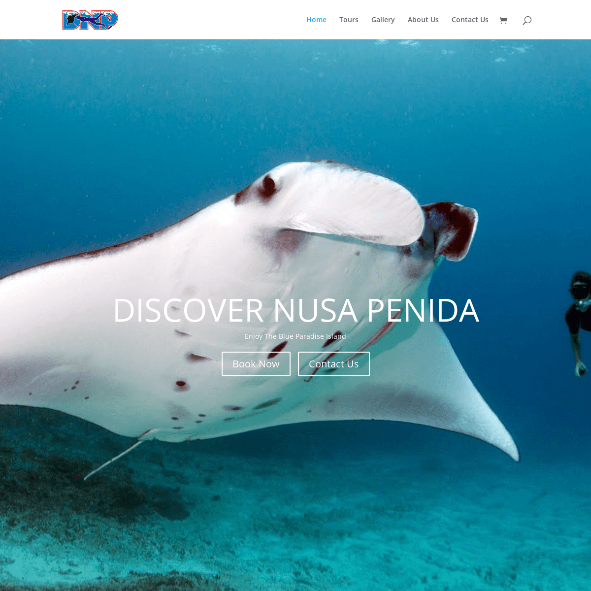Discover Nusa Penida | Snorkeling Tour Nusa Penida
