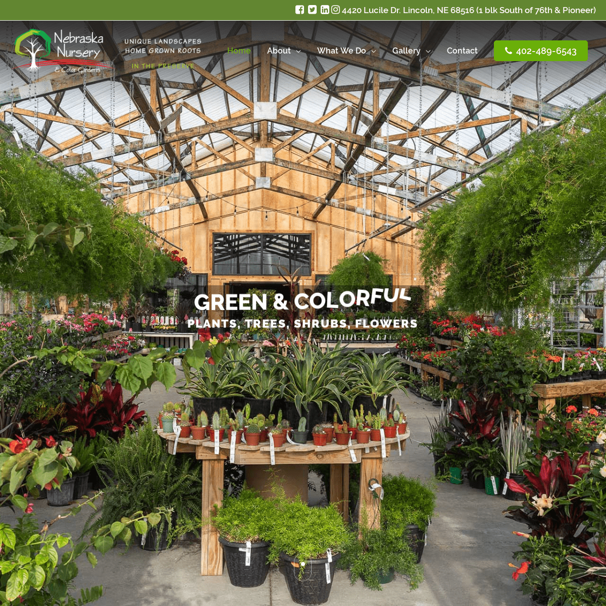 Color Gardens – Landscaping & Garden Shoppe