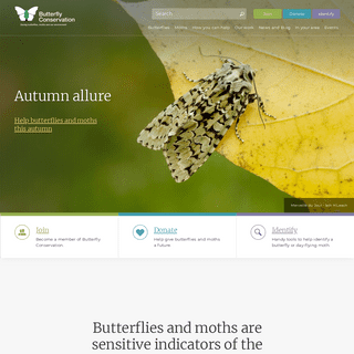 A complete backup of butterfly-conservation.org