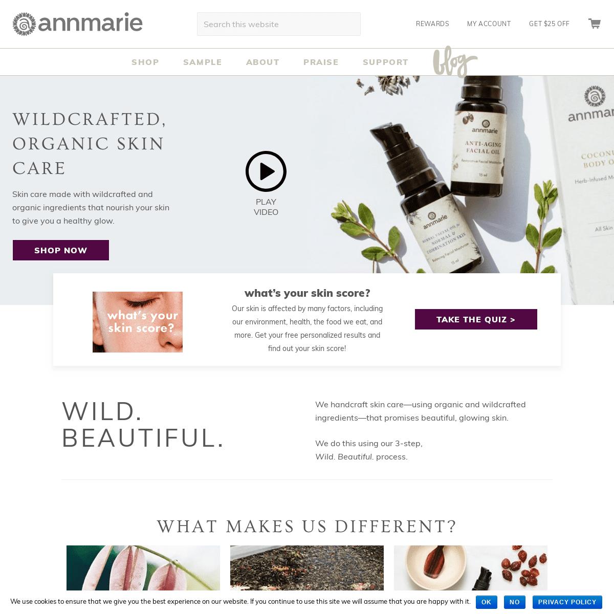 Organic & Natural Skin Care and Makeup | Annmarie Gianni