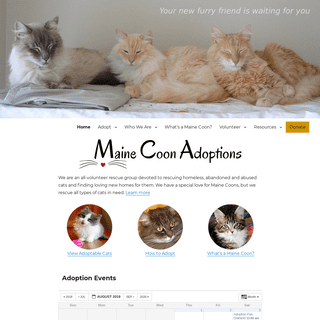 Maine Coon Adoptions – CALIFORNIA-BASED NO-KILL CAT RESCUE