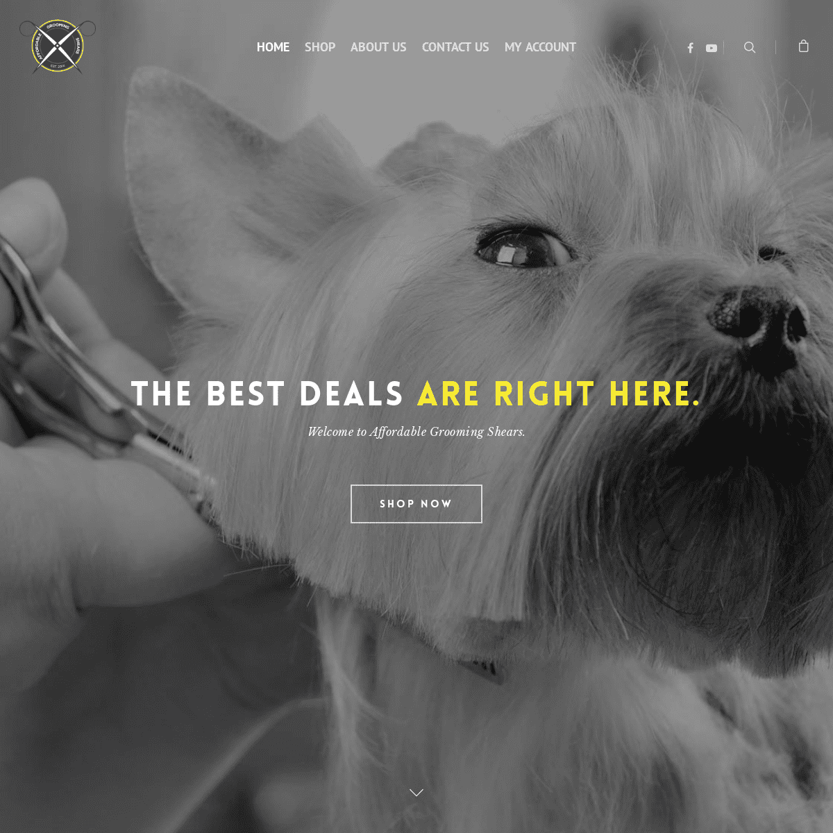 Affordable Grooming Shears – AGS | Est. 2014 – Your #1 Source for Pet Grooming Shears