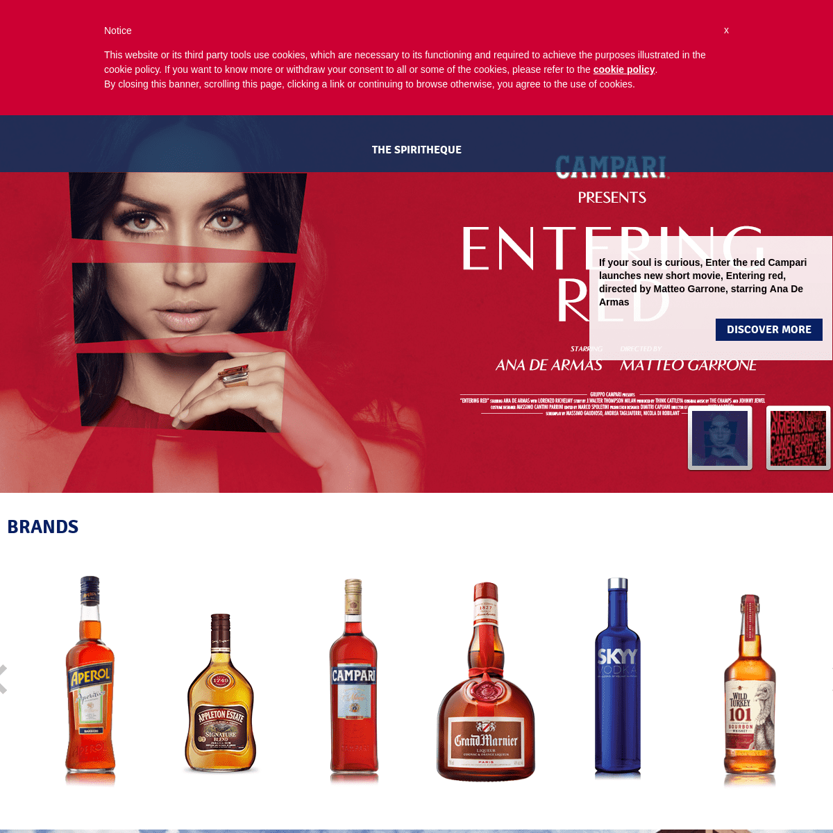 A complete backup of camparigroup.com