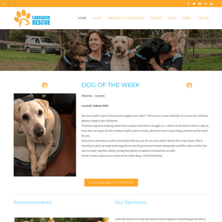 Labrador Rescue Australia - Home Page | Labrador Rescue Australia