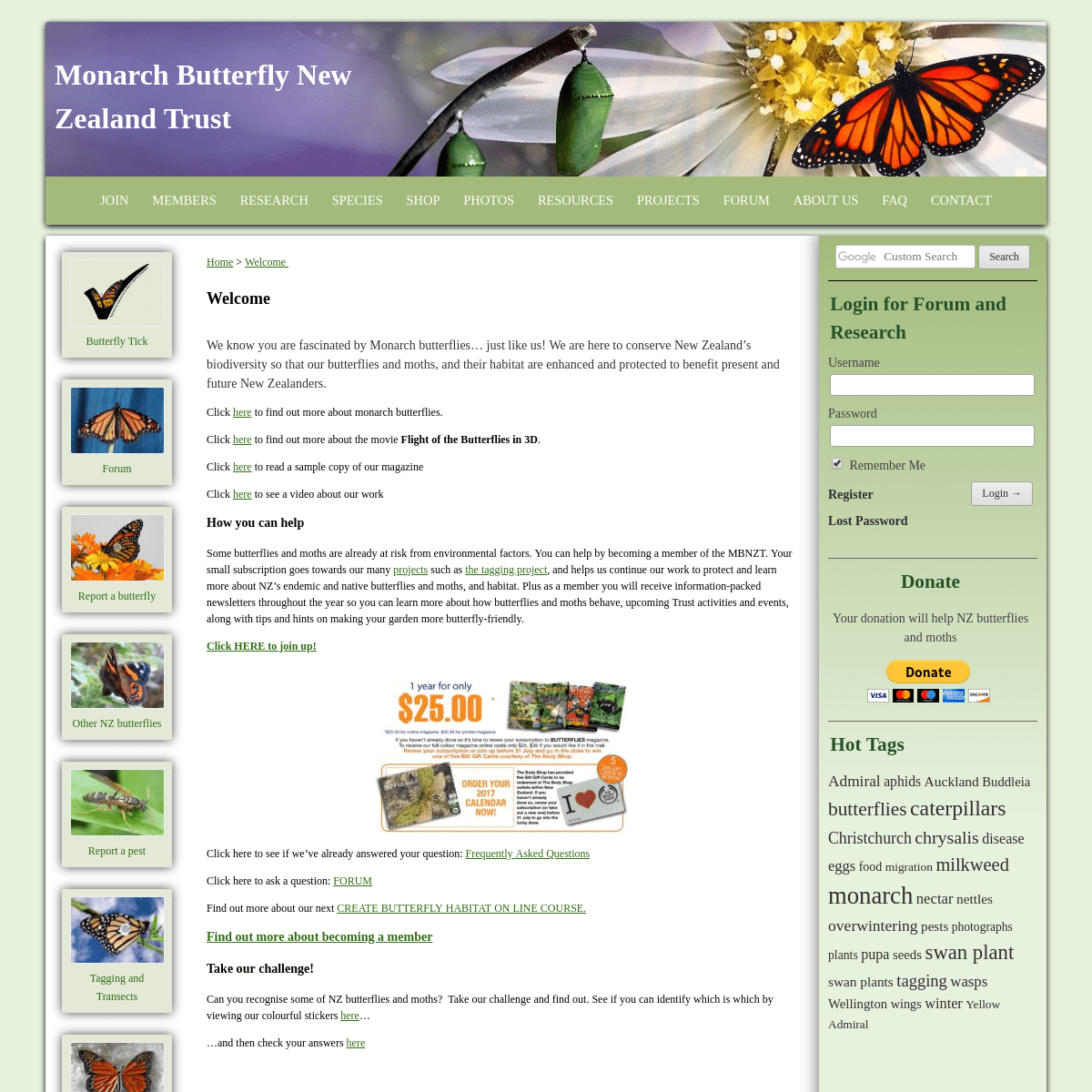 Monarch Butterfly New Zealand Trust