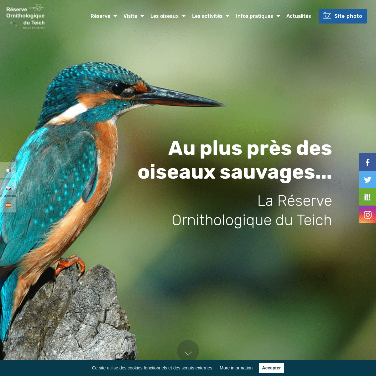 A complete backup of reserve-ornithologique-du-teich.com