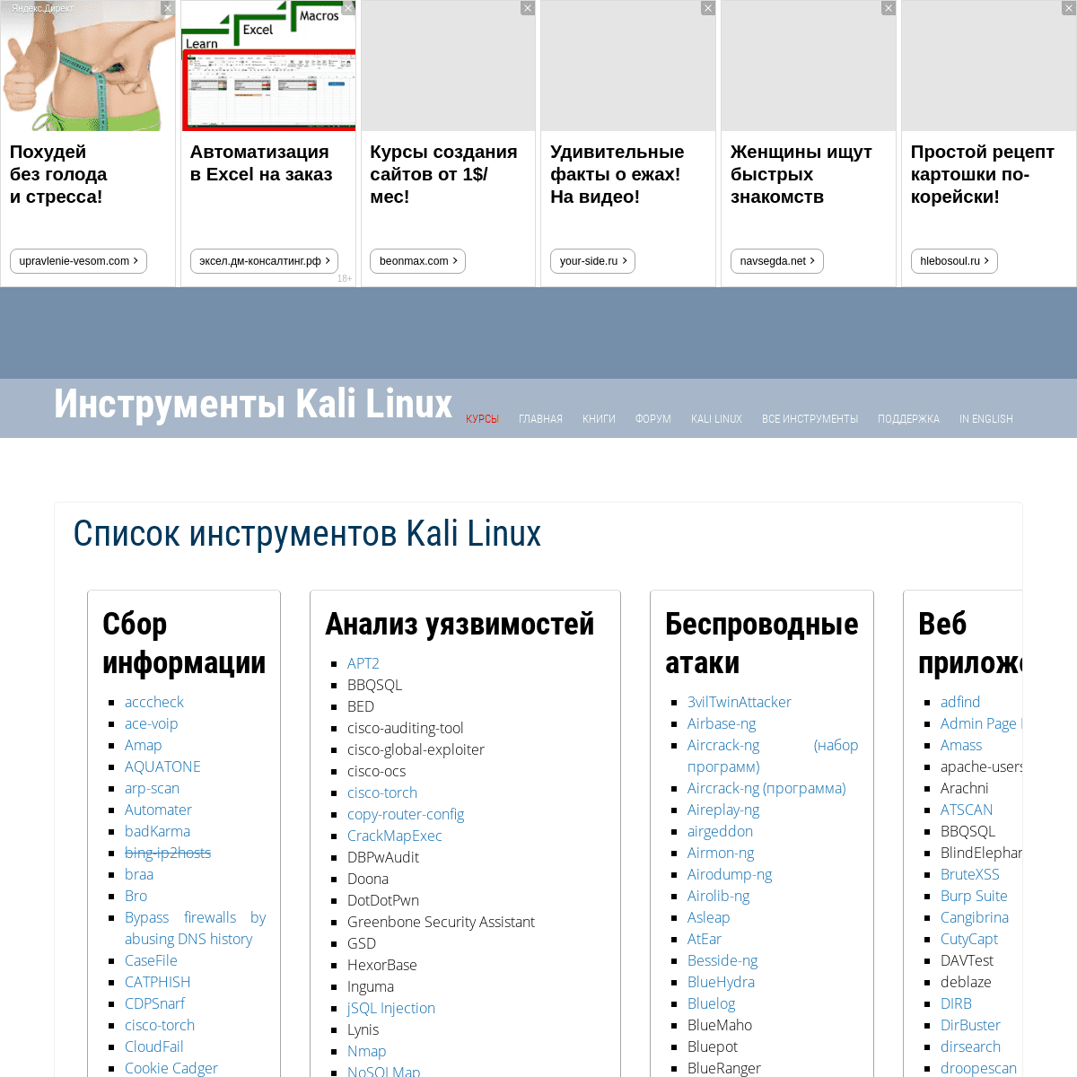 Инструменты Kali Linux - Список инструментов для тестирования на проникновение и их описание