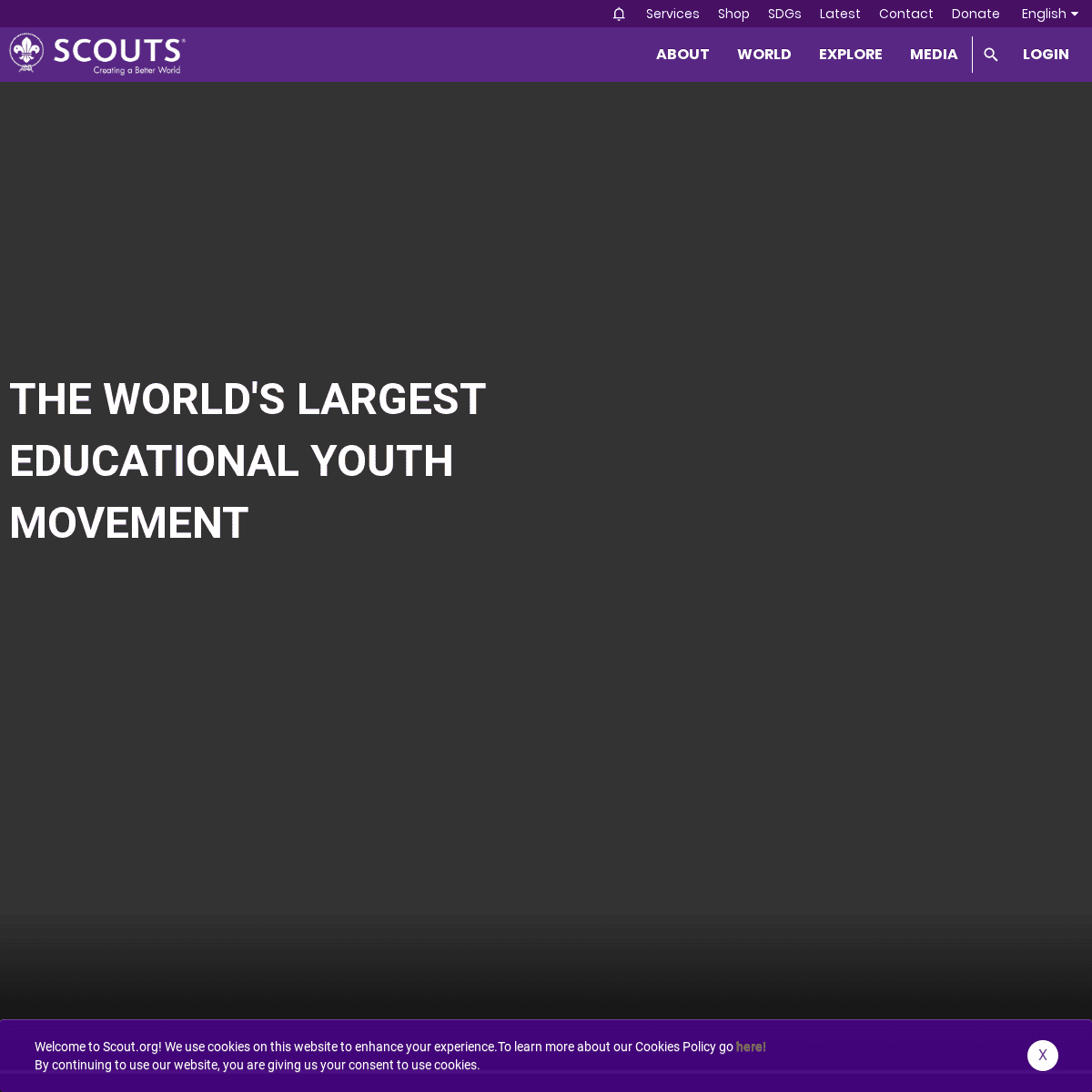 World Scouting |