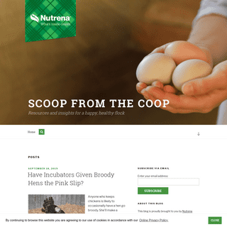 The Scoop from the Coop | Resources and insights for a happy, healthy flock