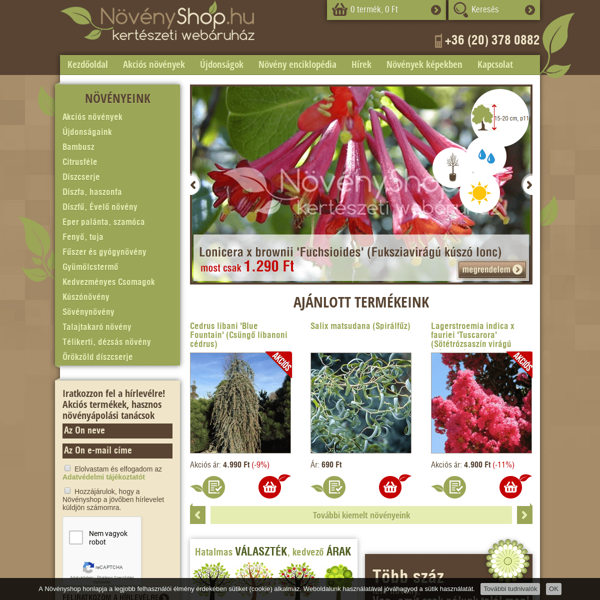 Növényshop.hu kertészeti és dísznövény webáruház | novenyshop.hu