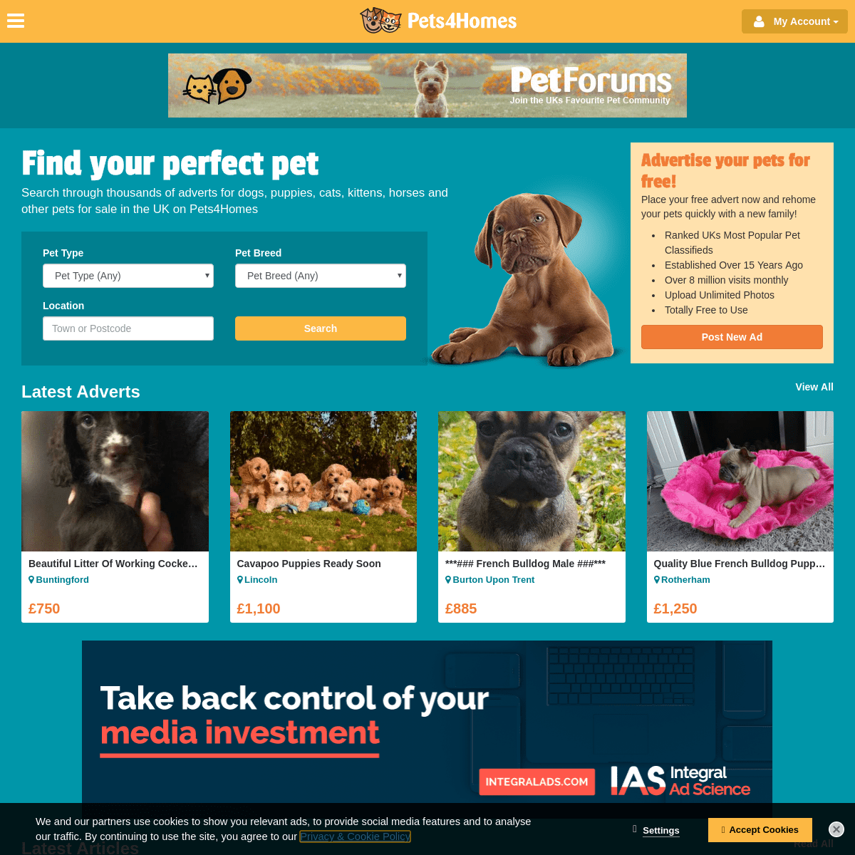 A complete backup of pets4homes.co.uk