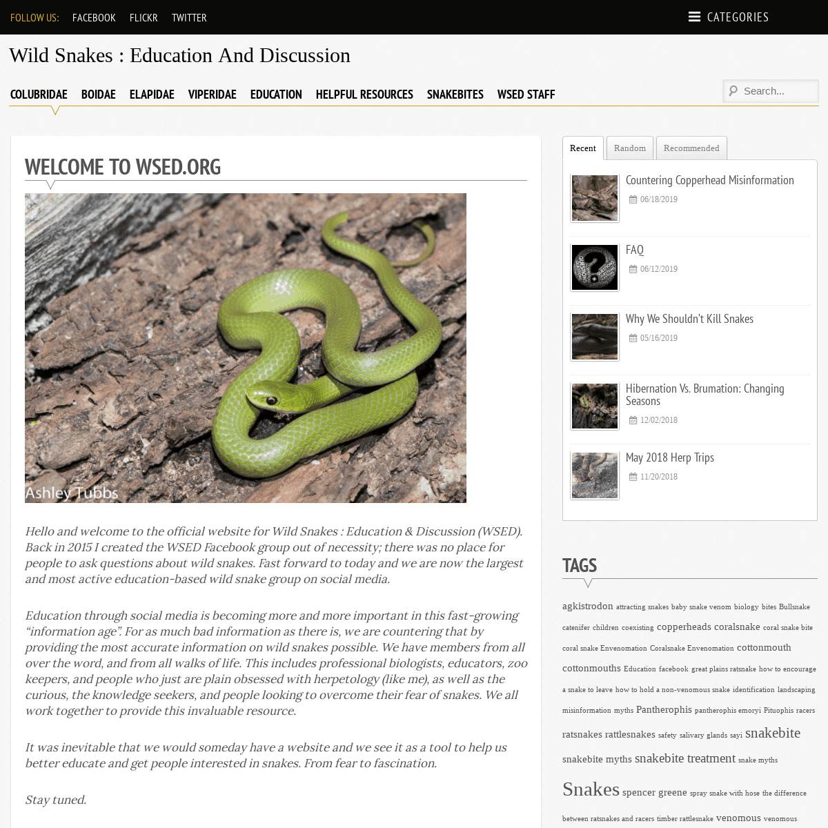 Wild Snakes : Education and Discussion – The official website for wild snake education.