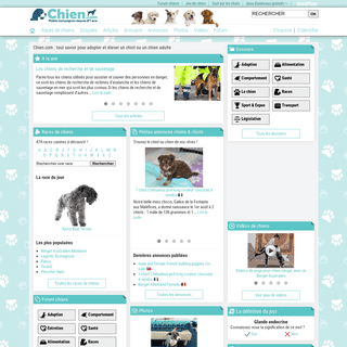 Chien.com : aide pour adopter et élever un chiot ou chien