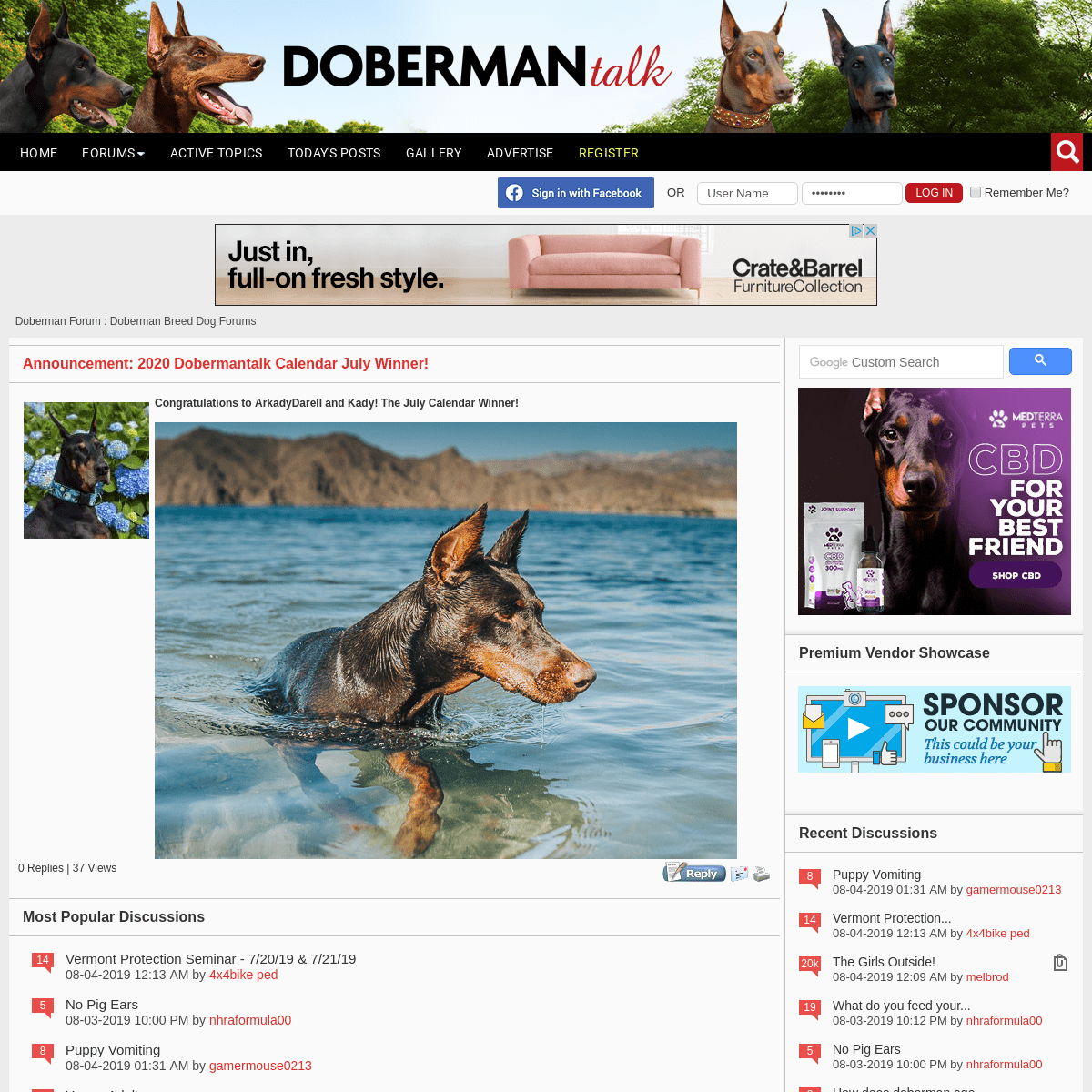 Doberman Forum : Doberman Breed Dog Forums 