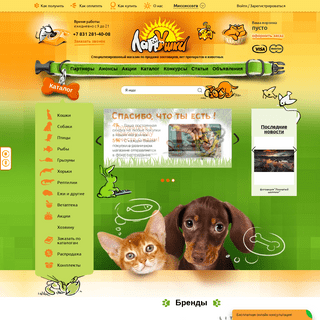 Интернет-магазин для животных - Зоомагазин «Лапушки»