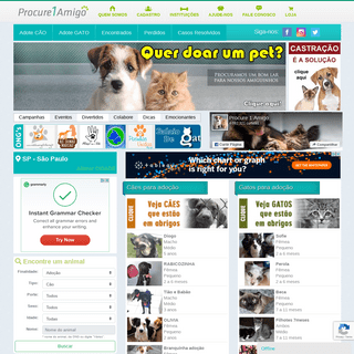 Procure 1 Amigo - SP - São Paulo - Ong Doação e Adoção de Cães Cachorros e Gatos Pet Animais Abandonados