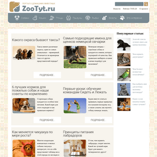 Zootyt.ru - Всё, что вам нужно знать о своем питомце