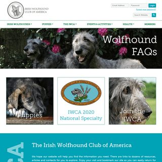Home - Irish Wolfhound Club of America, Inc.