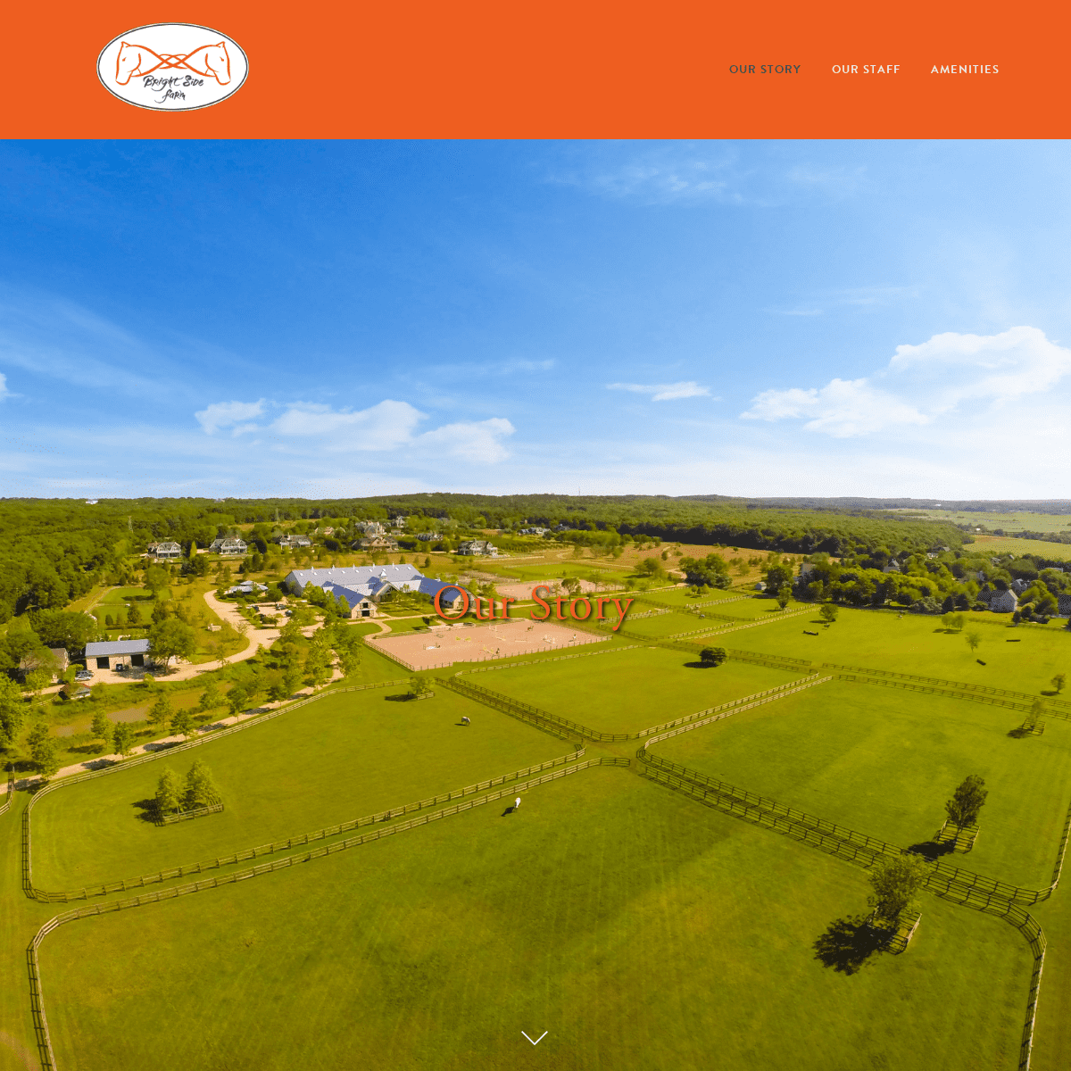 Welcome to Bright Side Farm : A Horse Riding and Training Facility Located in The Hamptons in Water Mill, NY