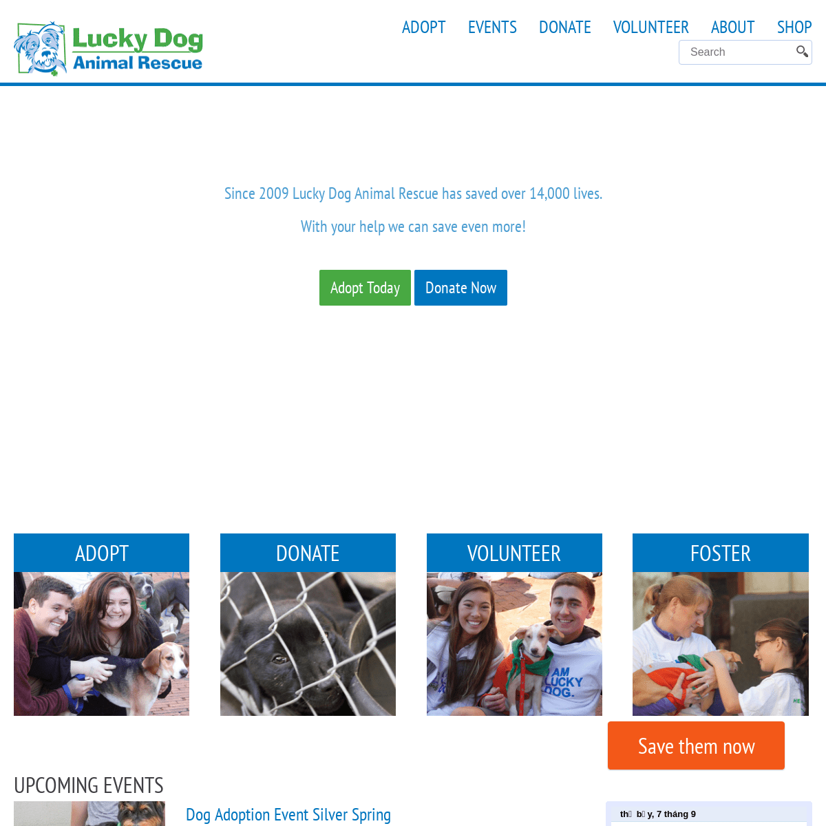 Home | Lucky Dog Animal Rescue