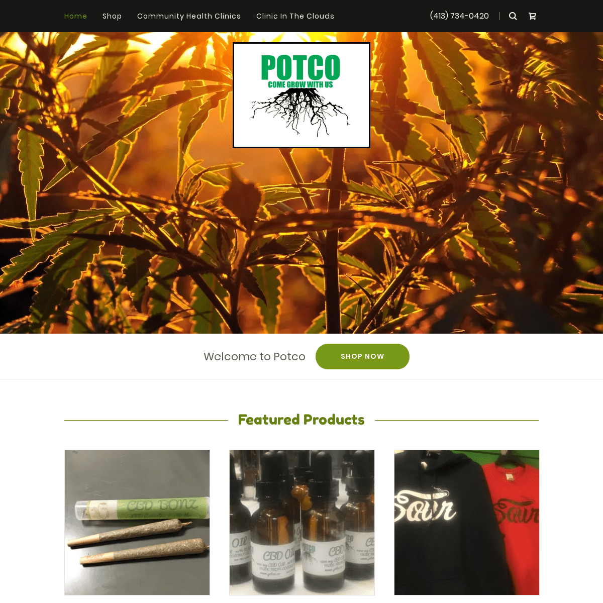 A complete backup of potco.co