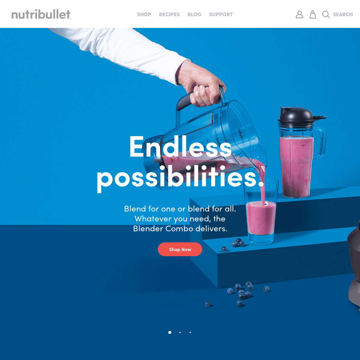 NutriBullet | Smoothie Recipes, Health Advice & Shop -