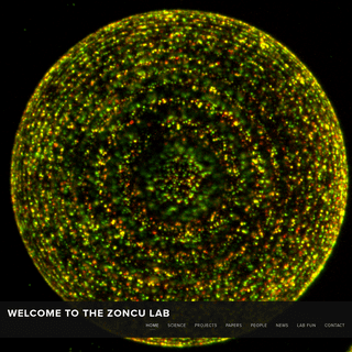 Welcome to the Zoncu lab