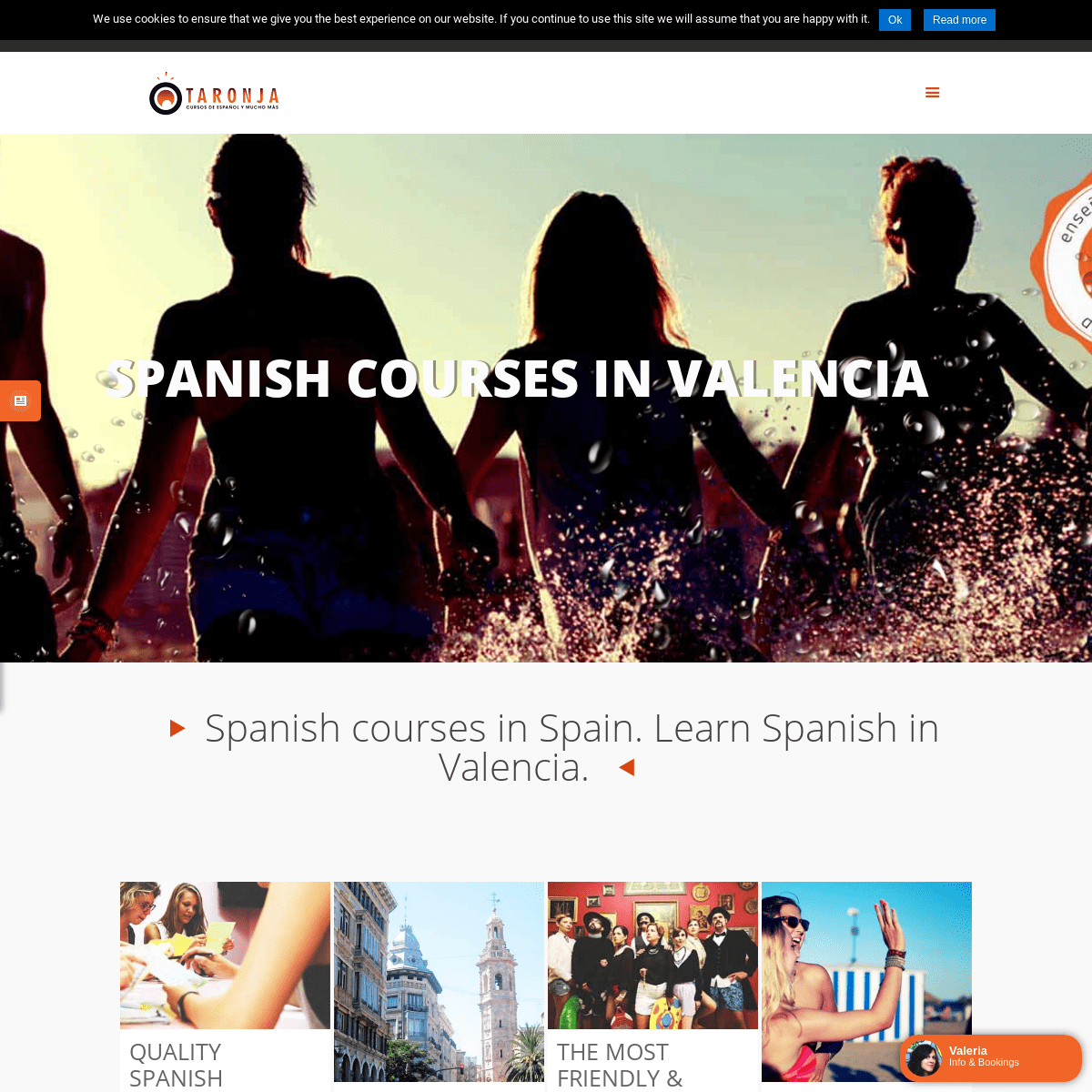 Taronja School. Spanish courses in Spain. Learn Spanish in Valencia.