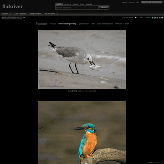 Flickriver - A new way to view Flickr photos and more...