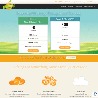 Homegrown Website Hosting | Fast, Reliable Web Hosting