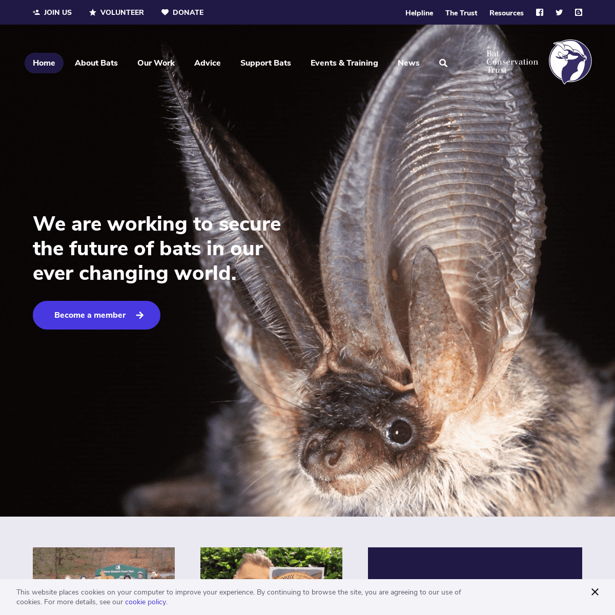 A complete backup of bats.org.uk