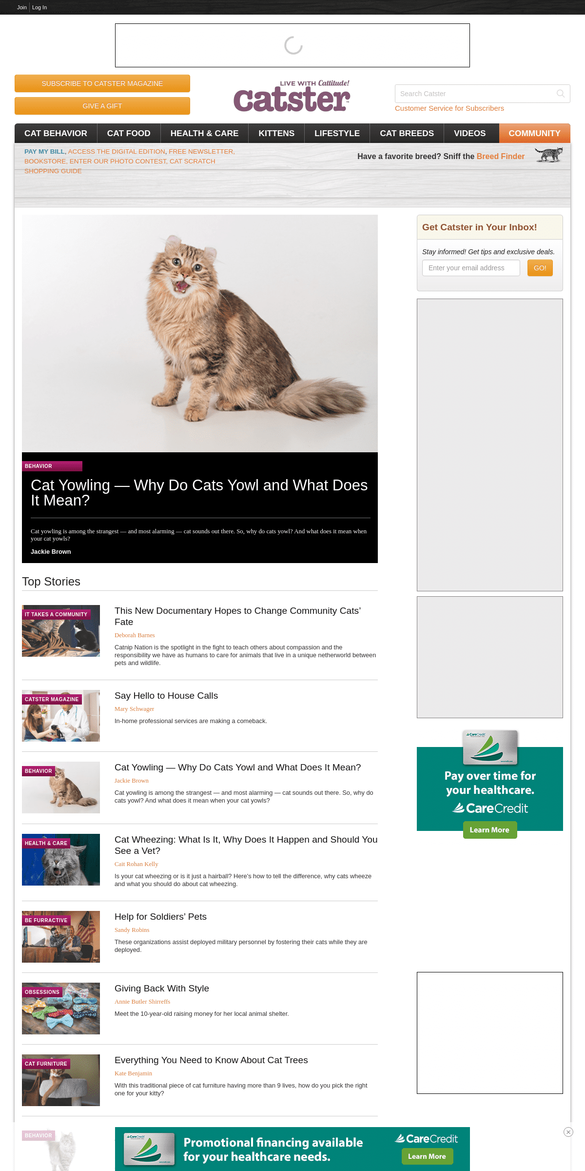 A complete backup of catster.com