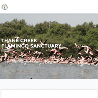 A complete backup of flamingosanctuary.com