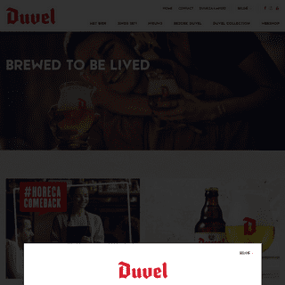 A complete backup of duvel.be