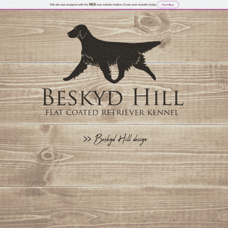 A complete backup of beskydhill.com