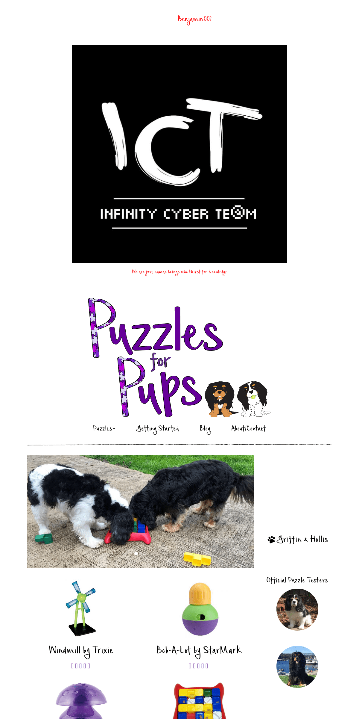 A complete backup of puzzles4pups.com