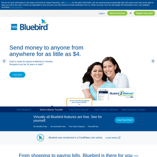 A complete backup of bluebird.com