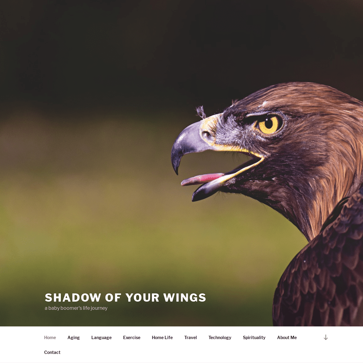 A complete backup of shadowofyourwings.com