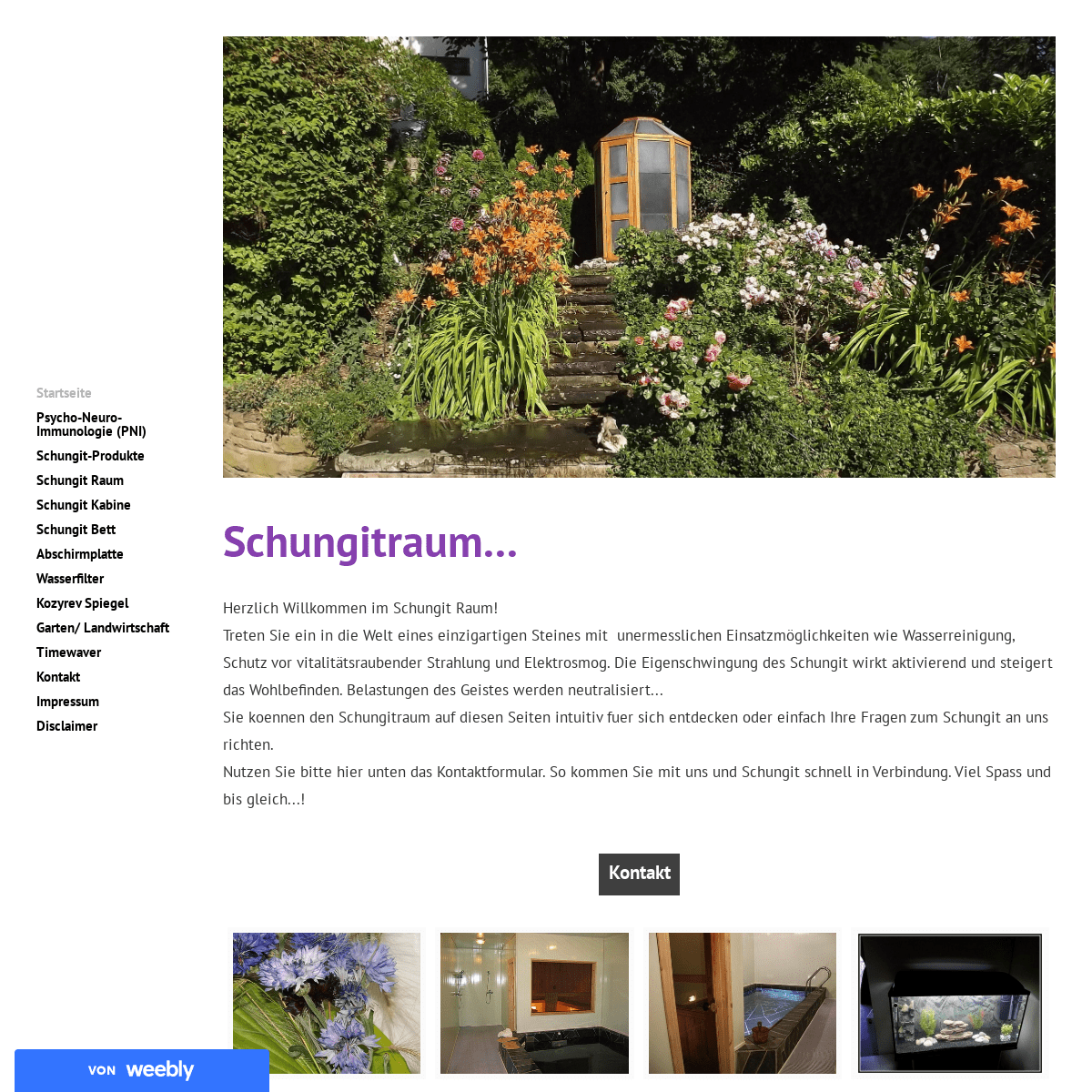 A complete backup of schungitraum.weebly.com