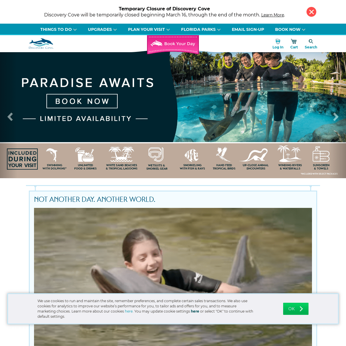 A complete backup of discoverycove.com