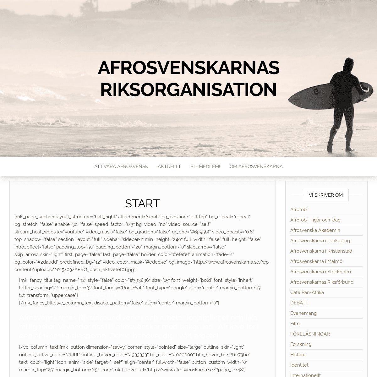 A complete backup of afrosvenskarna.se